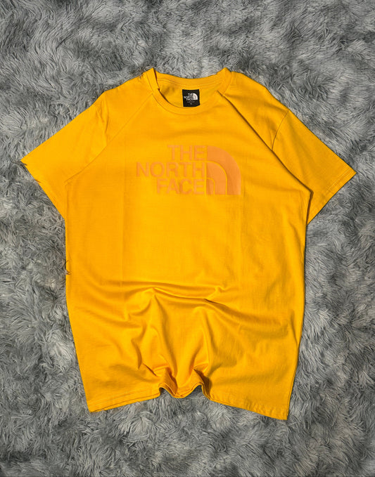 REMERA THE NORTH FACE