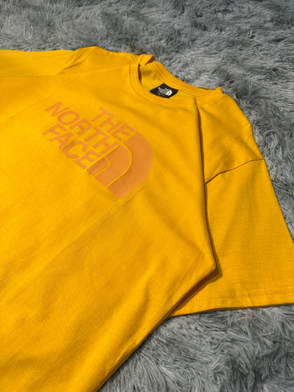 REMERA THE NORTH FACE