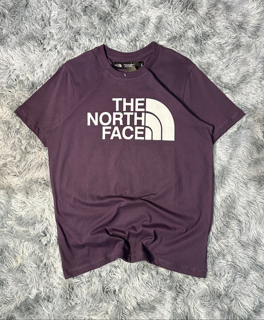REMERA THE NORTH FACE